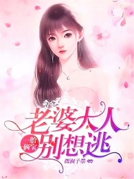 沈蔓歌叶南弦全集免费阅读