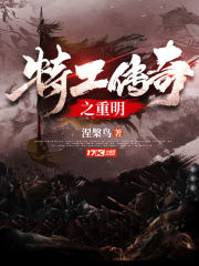 特工传奇全集