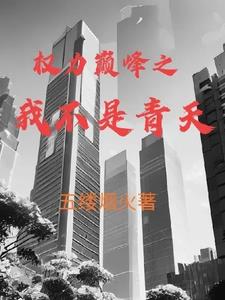 权利巅峰 小说