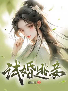试婚有哪些内容