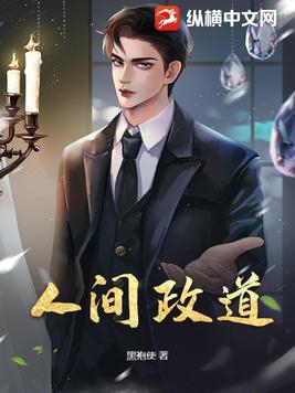 人间政道是沧桑电视剧
