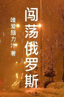 闯荡俄罗斯的小说