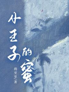 小王子的作者简介
